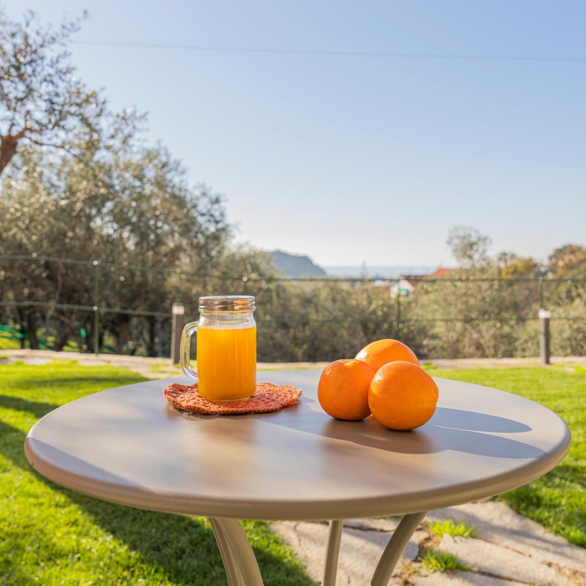 Villa Chicchi - Sestri Levante Dış mekan fotoğraf